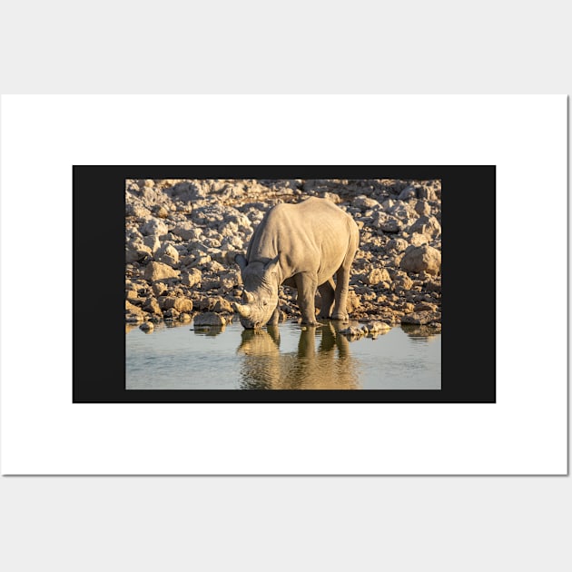 Rhino At The Waterhole, Etosha National Park Wall Art by AndrewGoodall